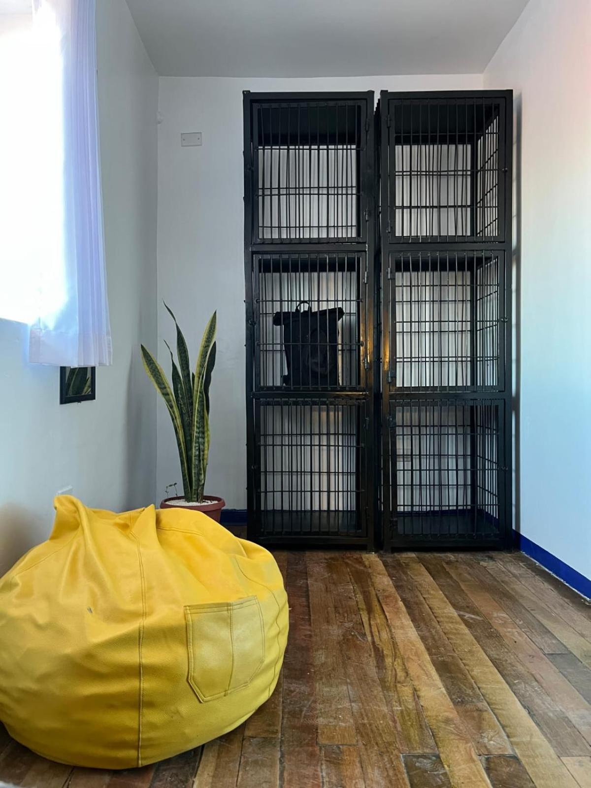 Haku Hostel Куско Екстер'єр фото